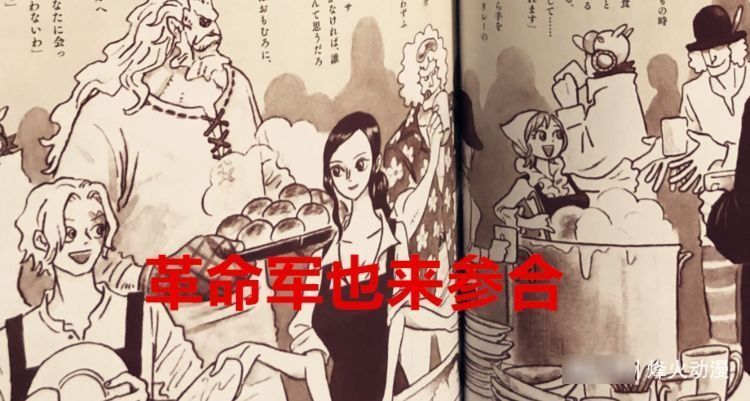 大妈|海贼王1028话解析:三方势力争夺罗宾,她“下船”的可能性很大