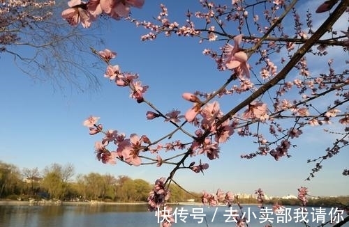 新晴#清代才子的一首七律,美如画卷,却丹青难描,颔联是传世名句