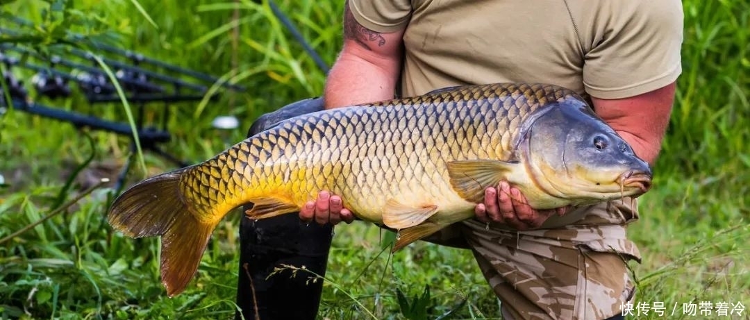 钓鱼“中毒”的10大症状,你中了几种?