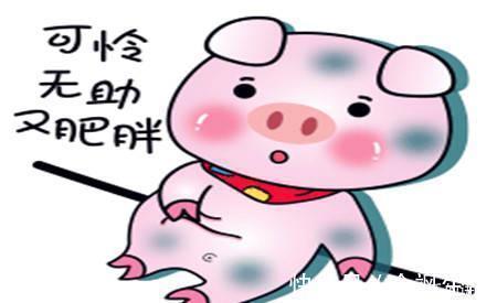 |幽默笑话：跟媳妇还有她闺蜜是同班同学，当年她俩都追求过俺