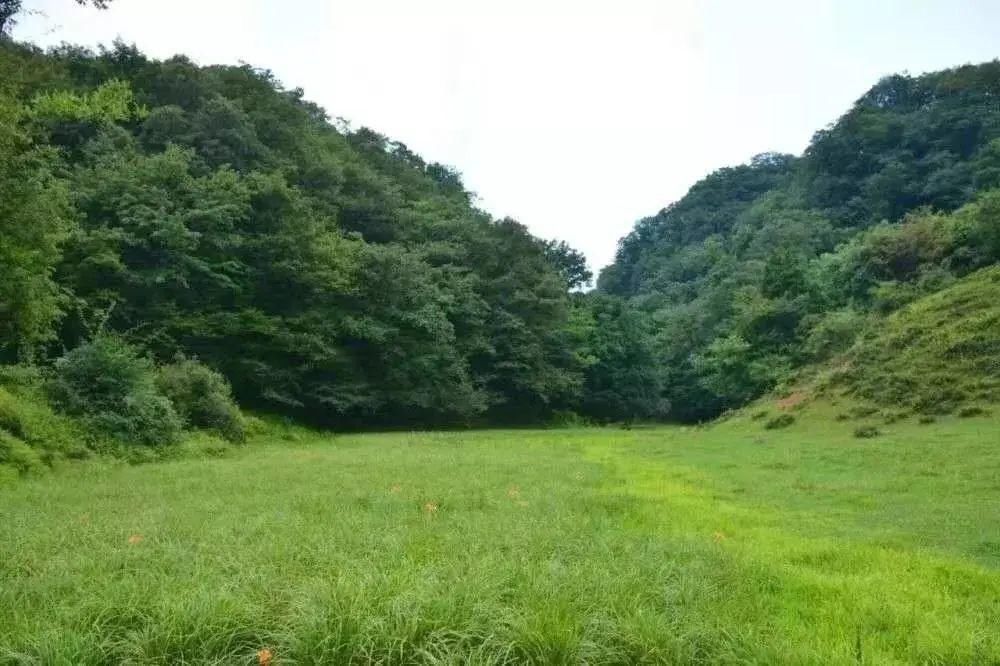 创建天府旅游名县：朝天旅游的二十个最美瞬间