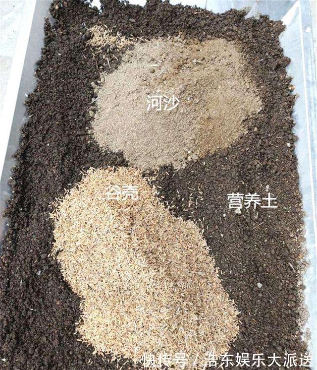 结积水|盆土板结积水怎么办3个“步骤”就解决，盆土疏松肥沃，根系旺