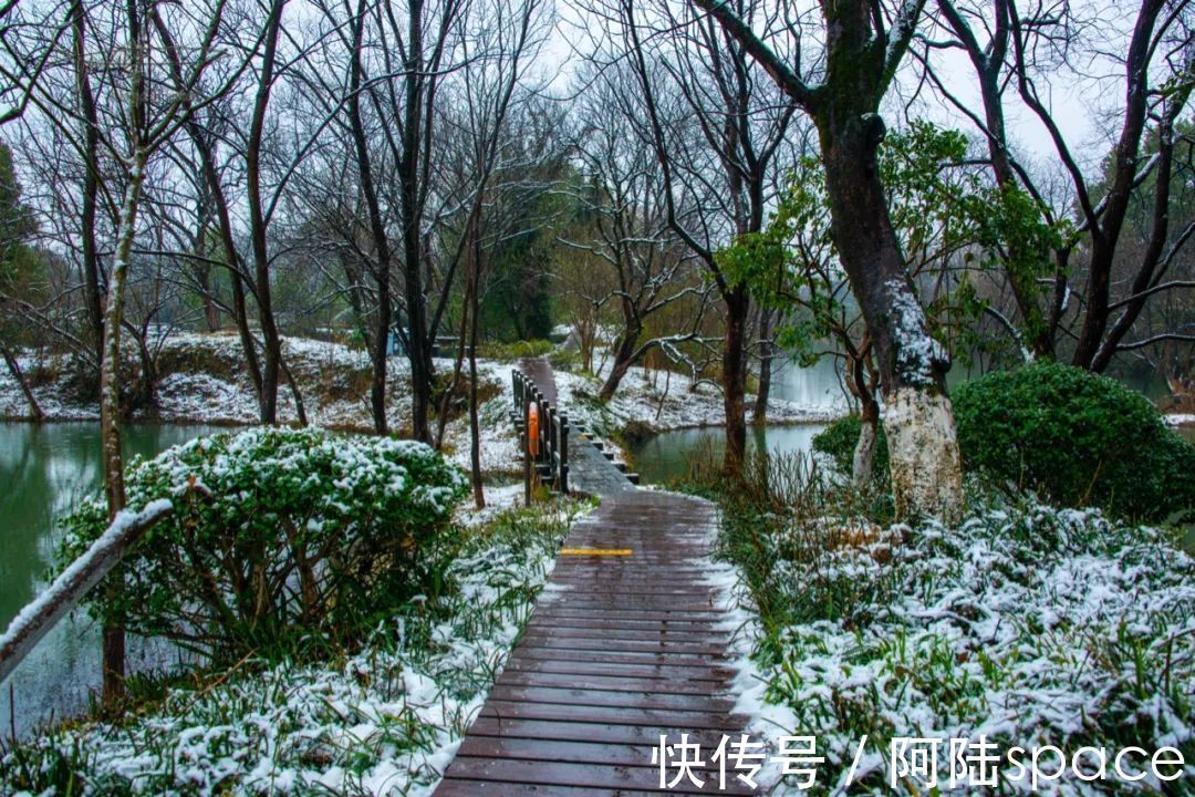 西溪|踏着雨雪寻梅，到西溪绿堤再合适不过，可惜花儿盛开还得等年后