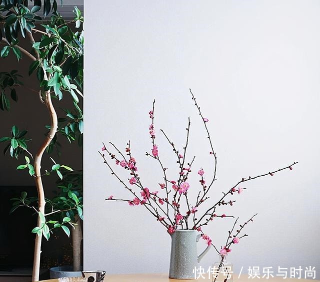 小两口之家,全屋布满绿植鲜花,把生活过成了诗,太美太治愈了!