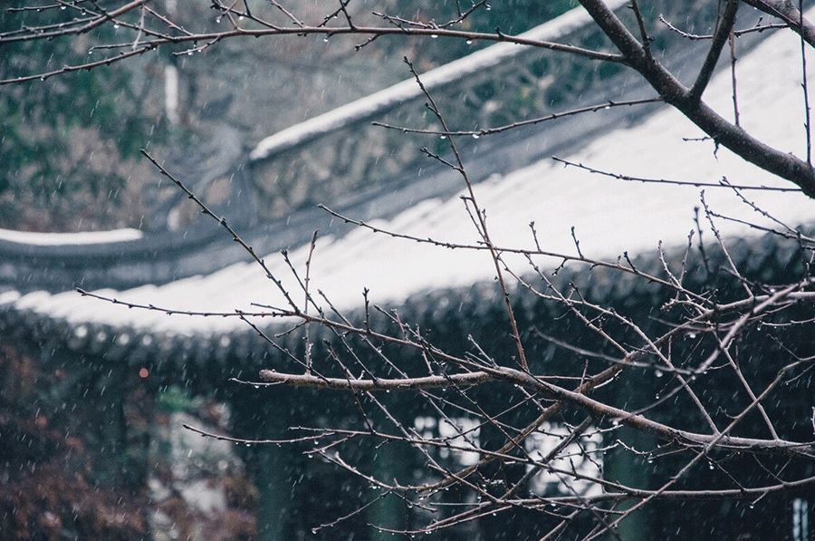 曹操|说话是修行,止语是智慧