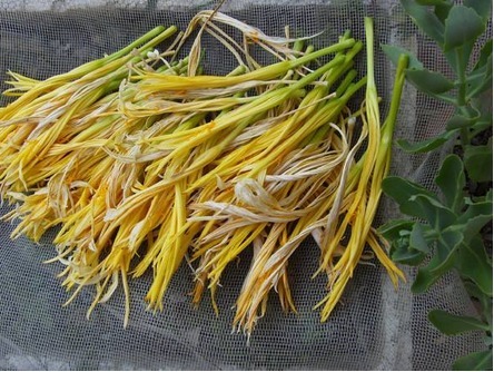 食物|胖人想刮油，多吃以下食物，清脂刮油，排出宿便，减肥养颜