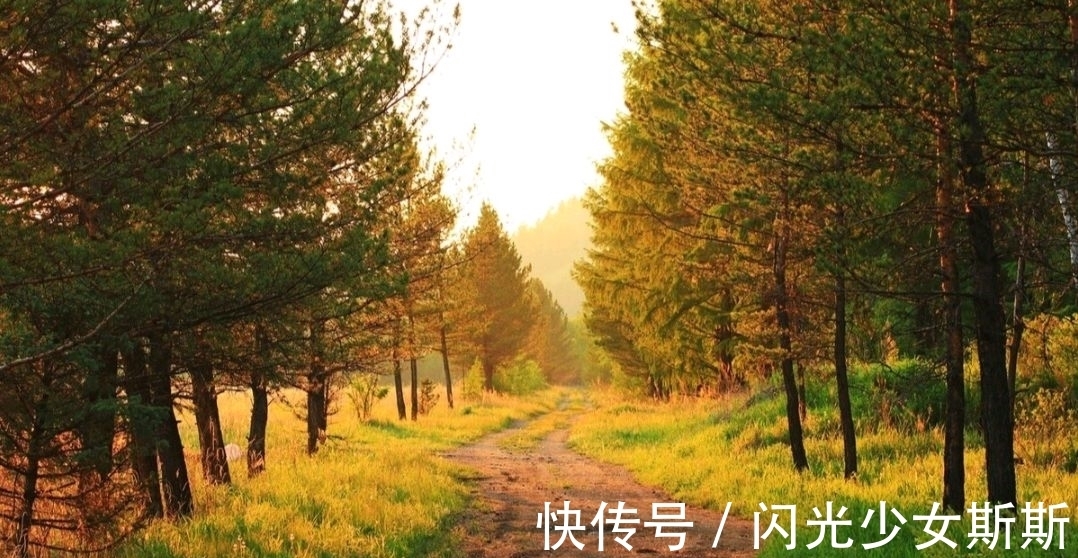 小诗&杨万里两首蕴含人生哲理的小诗,清新自然,极富趣味,值得一读