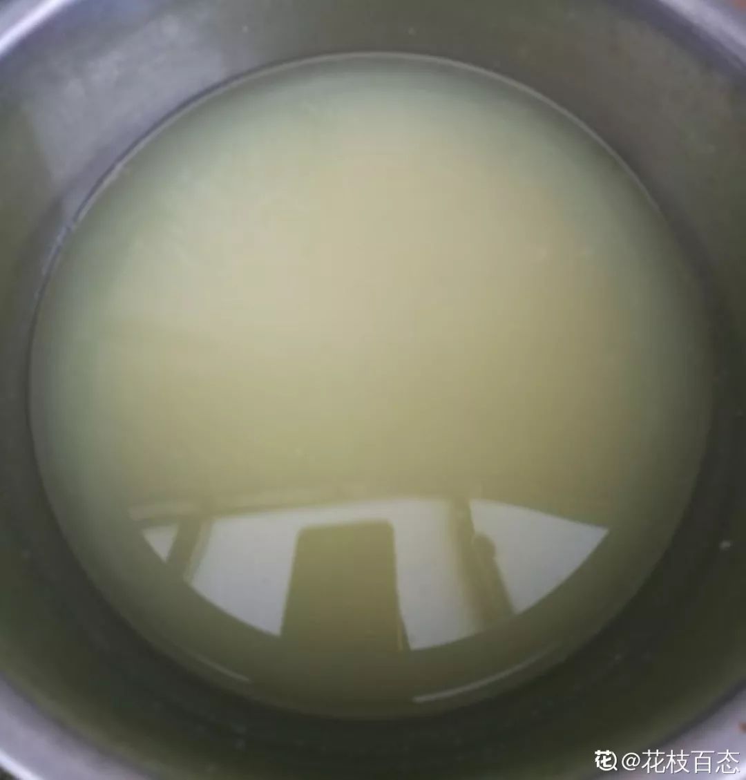 自制养花杀菌水，7天浇一勺，虫子全死光，再也不黄叶！