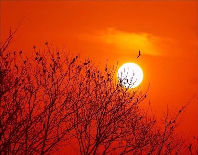 诗人|这首诗只有四句，却浓缩了沉甸甸的人生沧桑，读来让人回味无穷