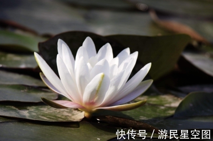 中国文化@古代“最奇葩”对联,上联与下联丝毫不差,为何被称为千古佳对?