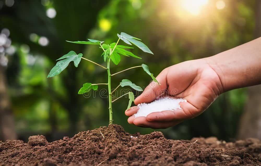 春天养花,必备5种“小东西”,简单有条理,养花一级棒