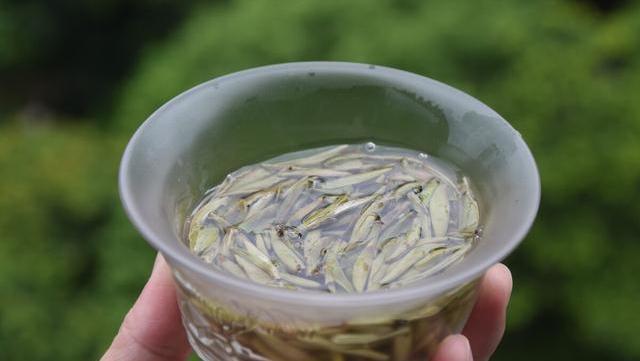 为什么银针很少用来压饼,而用寿眉压饼很普遍看完涨知识