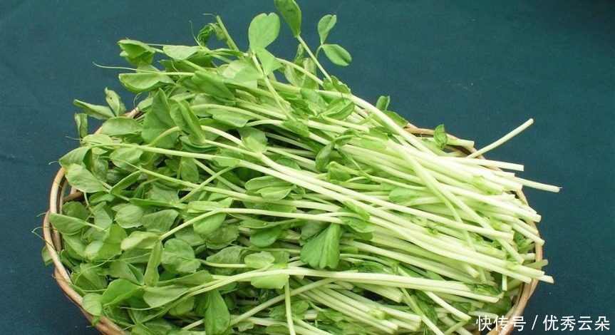 增强|一道孝敬老人的补气养神汤，平常喝可以补气抗疲劳，增强抵抗力！