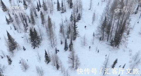 徒步|这个冬天想和你去喀纳斯：跳雪、滑雪、雪地疾驰、徒步雪域……