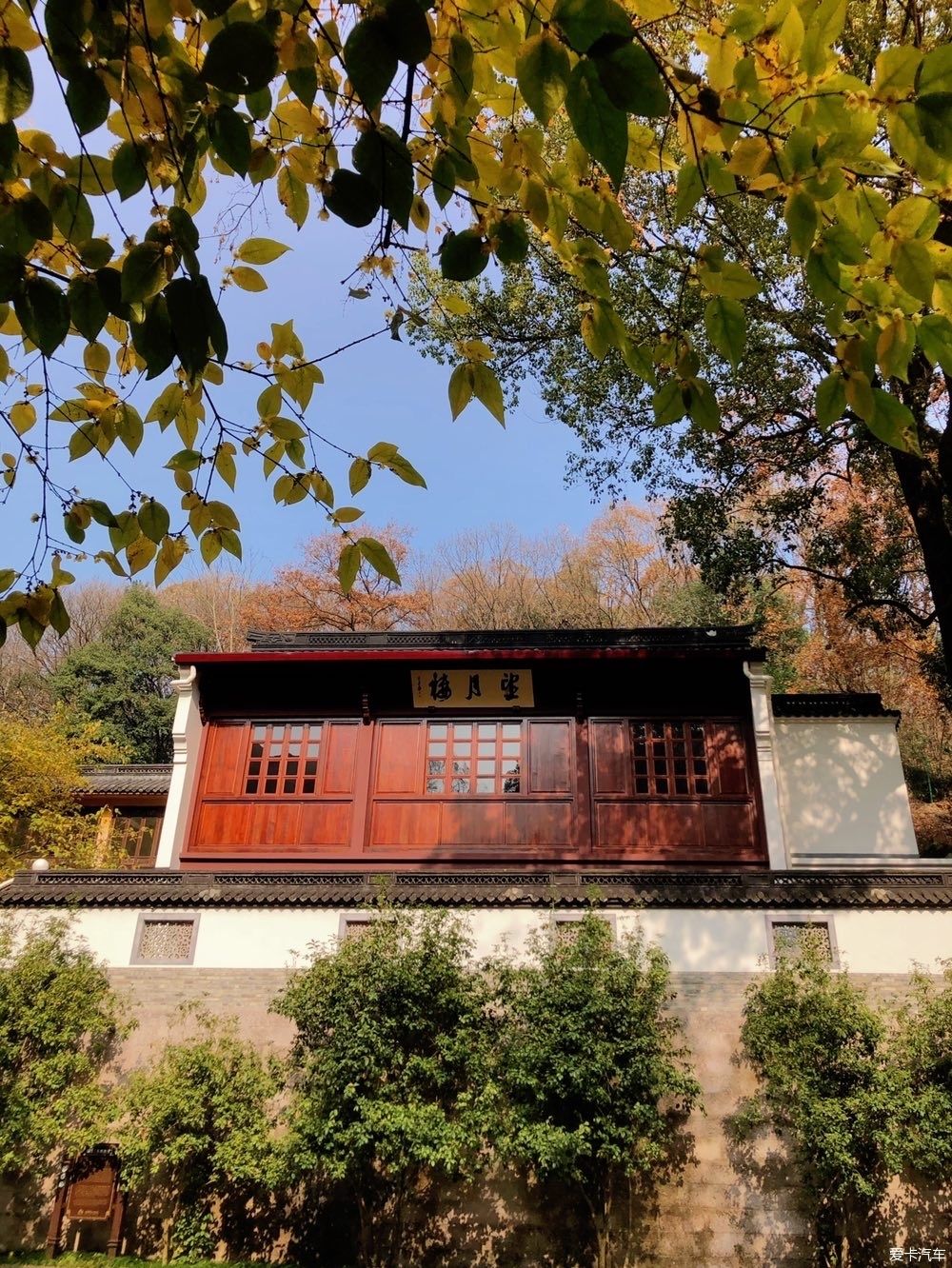 自驾|自驾一日游大佛寺景区