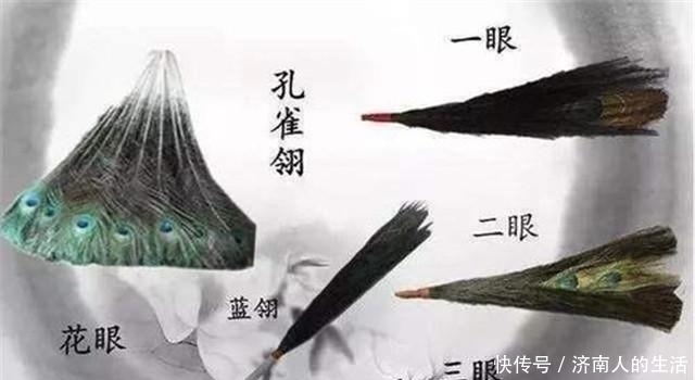 从“臣戴王不戴”到价值200两,清代花翎如何沦落成商品?