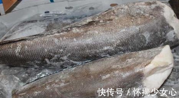 海域|南极犬牙鱼是银鳕鱼吗?它和银鳕鱼有什么区别?