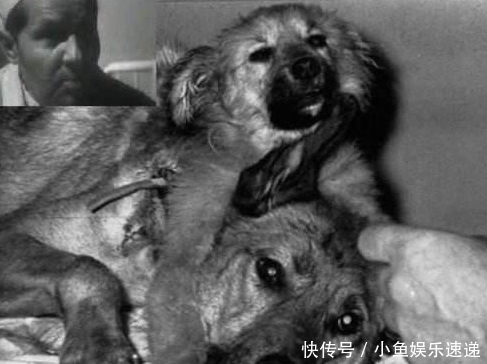 tnt 苏联的科学家有哪些耸人听闻的实验?苏联的灭亡不是没道理的