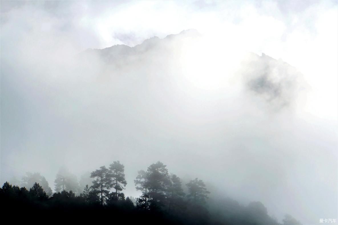 独自自驾游 欣赏最美的岗云杉林 体验环藏之旅的慢生活