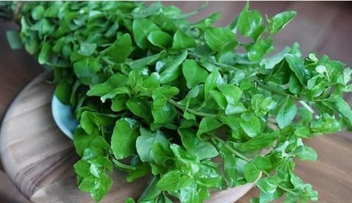 植物蛋白|聪明人爱吃3种食物,营养丰富、延缓衰老,好吃又不贵!