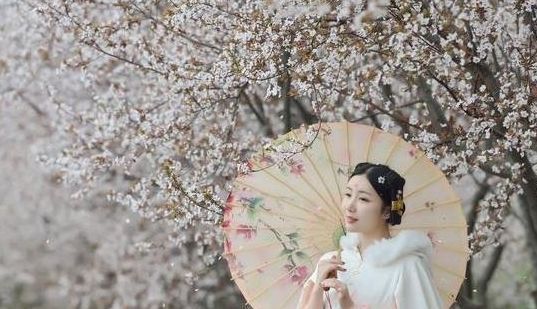 书生!才女用上联表白:“掰开石榴,红门中多少酸籽”,对出下联后成婚