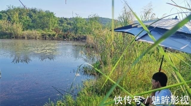 都知道钓鲫鱼要找水草,但很多人忽略了第二步,难怪不上鱼!