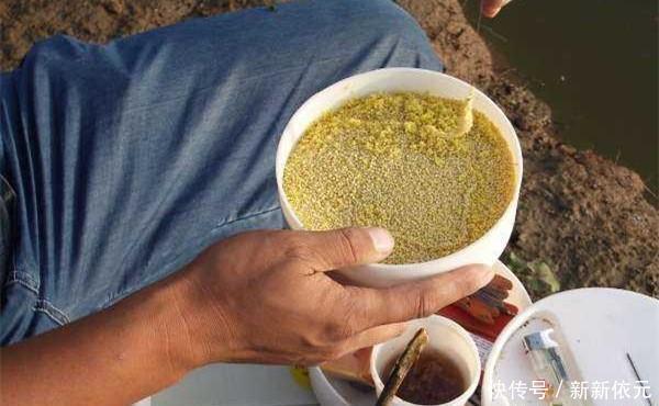 野钓大鱼用饵技巧,对比蘸米钓和麻团钓,用这几招,小鱼群钓大鱼