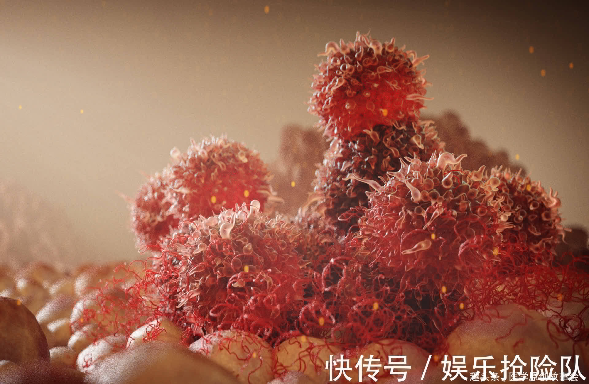 癌前病变|晚期癌症只能活活痛死？癌症根本不用治？肿瘤院长讲了十个真相