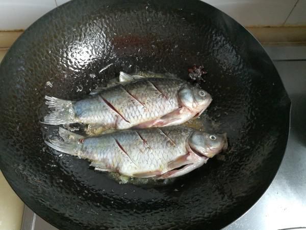 甲鱼|被“误解”最深的鱼，它的全身是宝，比甲鱼营养，一斤5元没人买