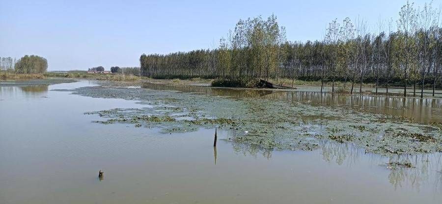 长吁|凡人歌｜中秋团圆日，胶州19岁小伙救起落水少年，他却没能上岸