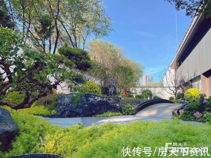 巩敏霞|建发·望京养云怎么样?看置业顾问巩敏霞发布了一条项目新消息