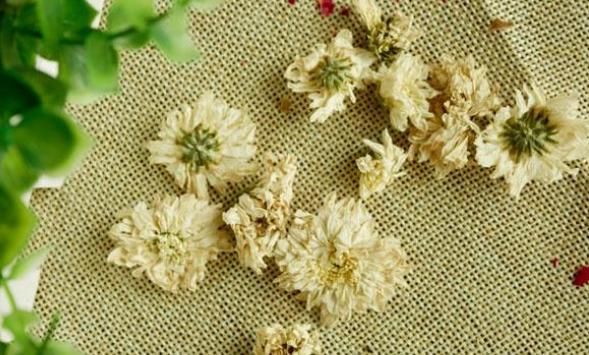 枸杞水中加1物，堅持喝，排毒祛濕，趕走“贅肉”！