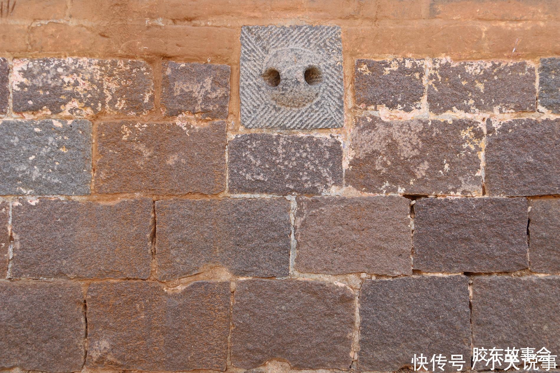 数百年历史的槭树林,见证了“步姓”人在莱阳的繁衍