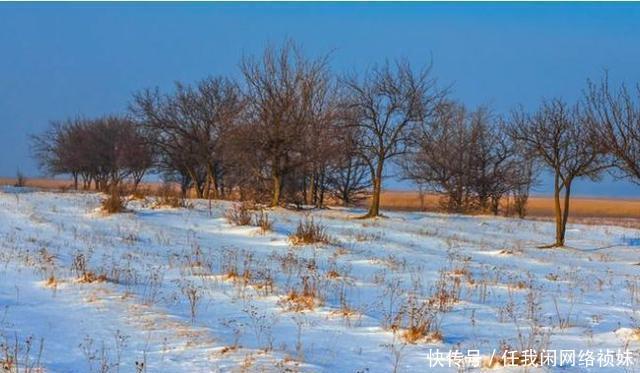 丰收|俗语“冬雪一层面,春雨满囤粮”,老农说能测来年收成,靠谱吗