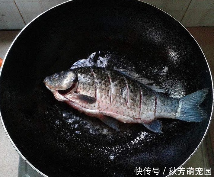 鱼汤|用冬瓜和它煮汤,多让孩子喝,清热去火还补钙,比骨头汤更有营养