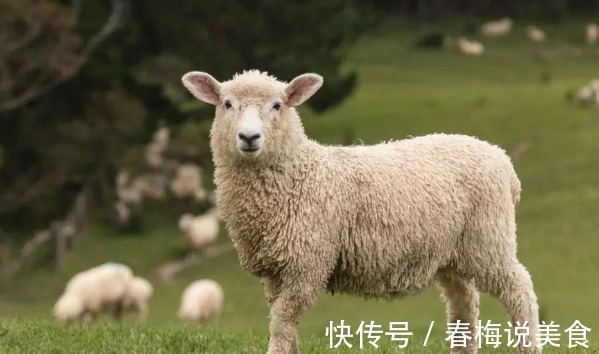 福气|农历哪几个月出生的属羊人，福气深厚，贵人多助，日子财富不缺