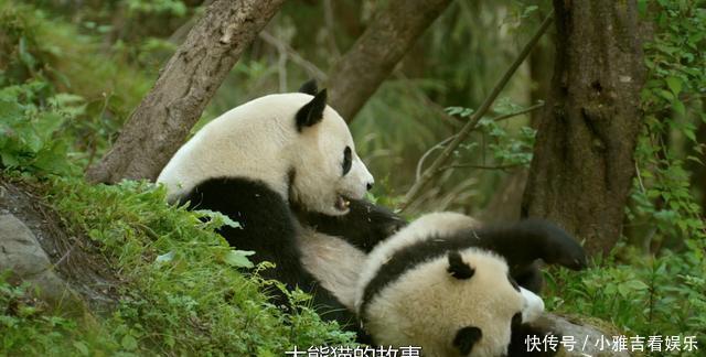 壁纸|别再只把B站拿来追番了，它的这些资源不利用就太浪费了