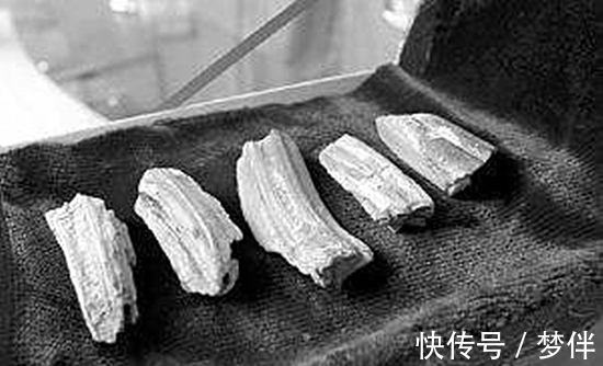 中国文化|辽宁一位老人,自称9岁时见过真的龙,临死前主动上交5块“龙骨”