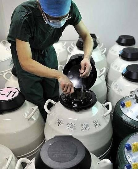 胚胎|揭秘试管婴儿全过程(附图)，看完后心疼女性一万遍