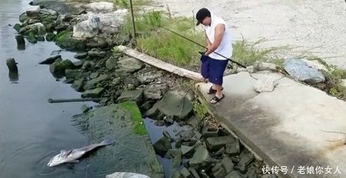 男子|好不容易钓到大鱼,虽然出了点意外但是鱼还在!