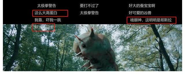 45岁吴樾演少年!《张三丰》豆瓣4.3分,我要被弹幕上的网友笑死