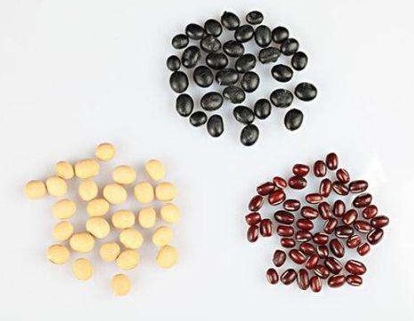 癌症|当你的身体缺乏维生素B2时,你的身体会出现什么症状!