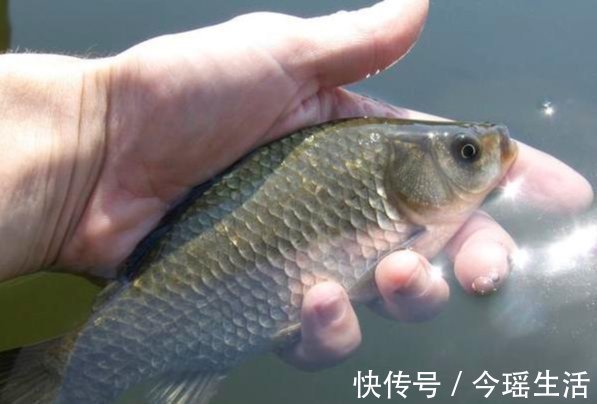 雨天钓鱼,钓法如何选?实践经验供你参考