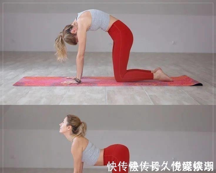 背部|瑜伽站立前屈最重要的不是手抓脚,而是转动骨盆!