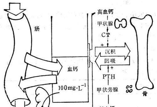 牛奶|每天喝一杯牛奶有什么好处吗?选择什么样的牛奶更有利于健康?
