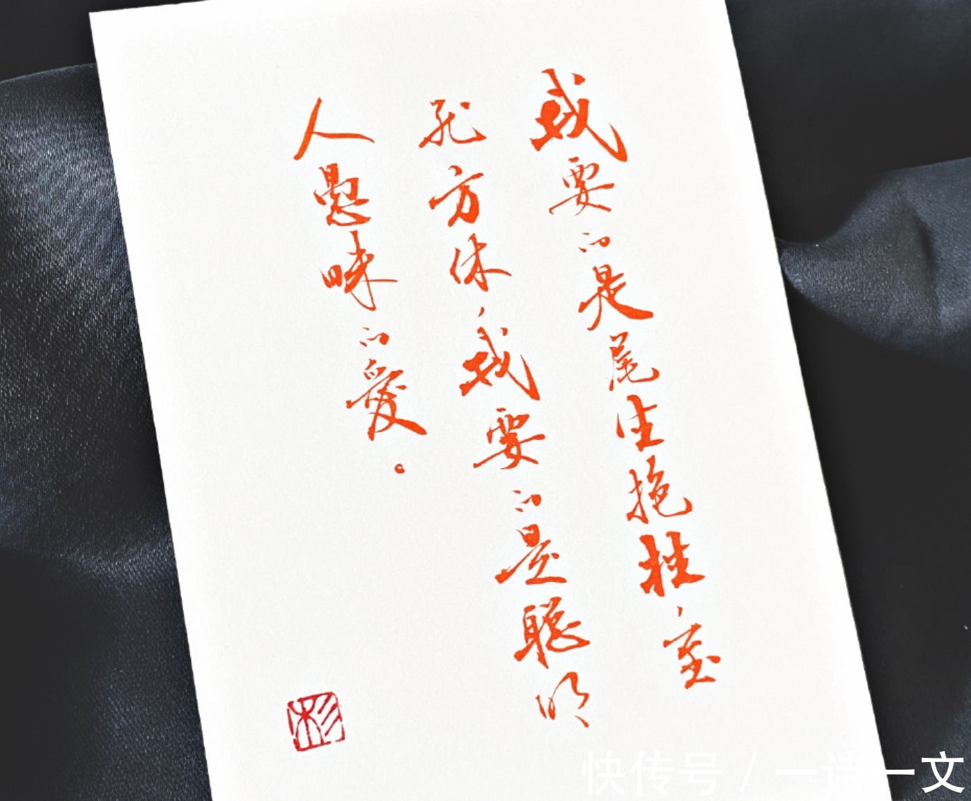 山百合&我是奔你而来,爱意自然汹涌