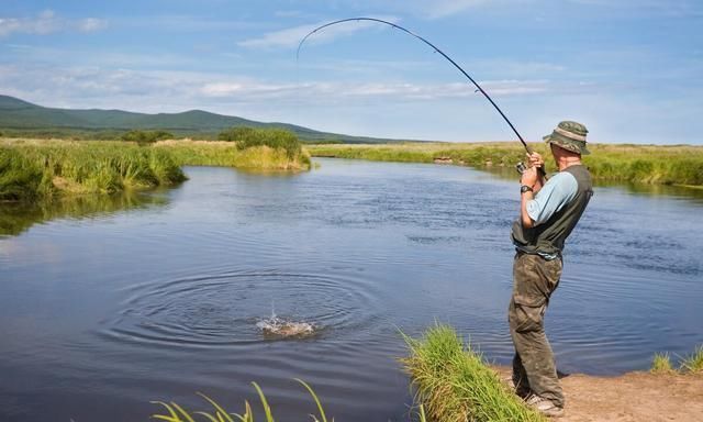 钓鱼|钓鱼的核心要素,全部领悟并掌握,你离“钓神”不远了