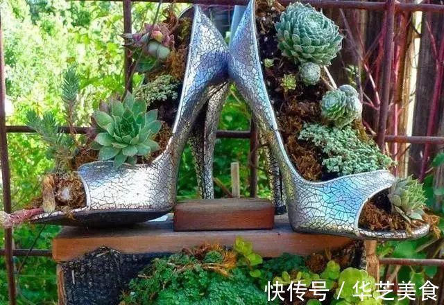 鞋子|她把家里的旧鞋子、茶壶用来种花,卖300一个邻居抢着要!