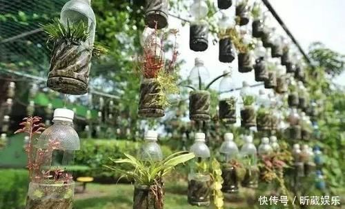 8个用塑料瓶制作的景观，有人觉得好看实用，但有人说丑爆了