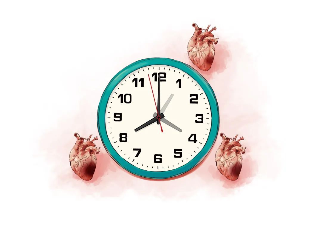 冠状动脉|挽救心肌：机不可失，时不再来！为什么时间对于心肌梗死如此重要？